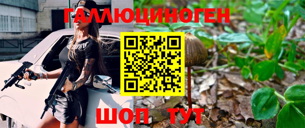 Галлюциногенные грибы GOLDEN TEACHER Тулун