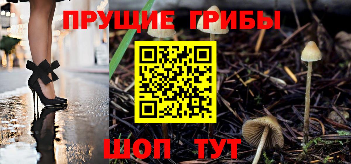 Галлюциногенные грибы Psilocybine cubensis  Вход с VPN  где продают   Псилоцибиновые грибы Psilocybine cubensis  Тулун 